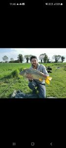 Mirror Carp