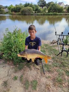 Mirror Carp