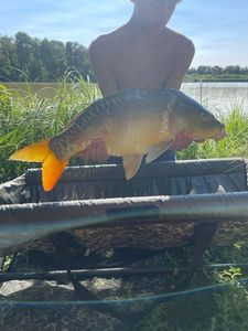 Leather Carp