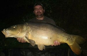 Mirror Carp