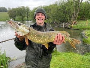 Northern Pike