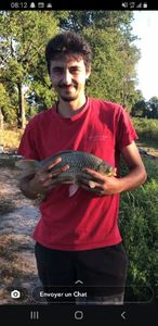 Crucian Carp