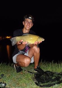 Tench