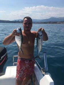 Leerfish (Garrick)