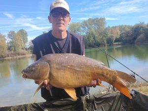 Mirror Carp