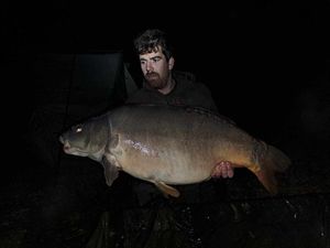 Mirror Carp