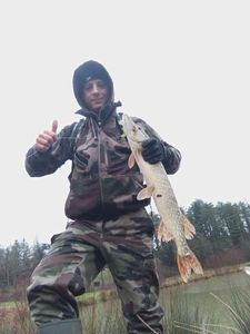 Northern Pike