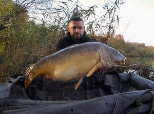 Mirror Carp