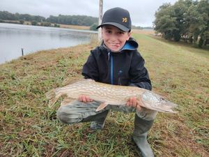 Northern Pike