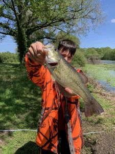 Smallmouth Bass
