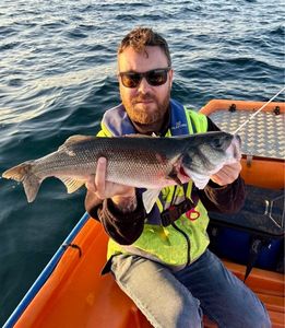European Bass (Seabass)