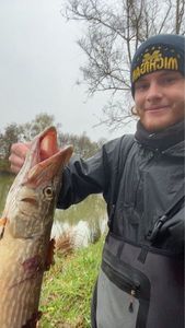 Northern Pike