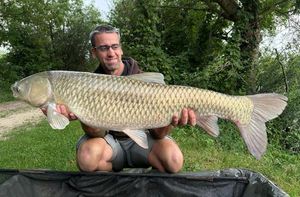 Grass Carp
