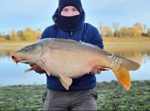 Mirror Carp