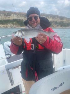 European Bass (Seabass)