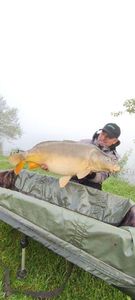 Mirror Carp