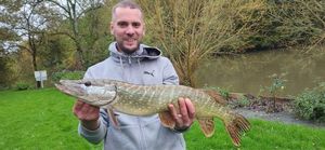 Northern Pike