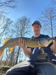 Northern Pike