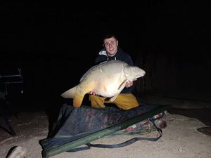 Mirror Carp