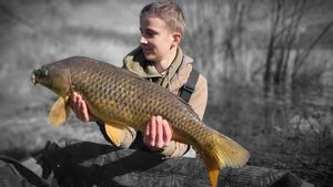 Common Carp