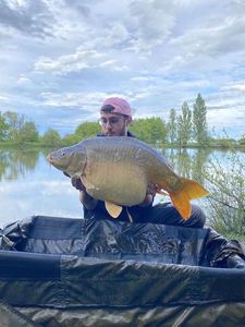 Leather Carp