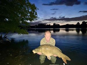Common Carp