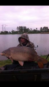 Mirror Carp