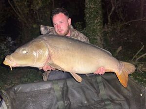Mirror Carp