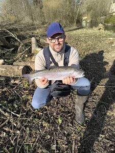 Rainbow Trout