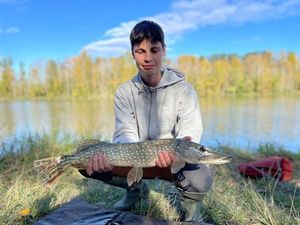 Northern Pike