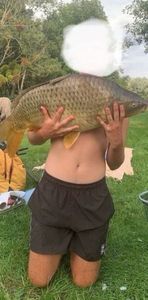 Common Carp