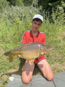 Mirror Carp