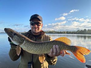 Northern Pike