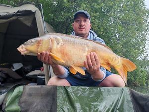 Mirror Carp