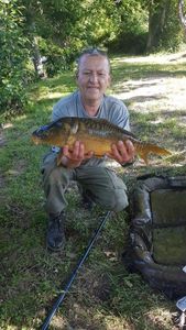 Mirror Carp
