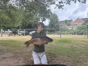 Mirror Carp