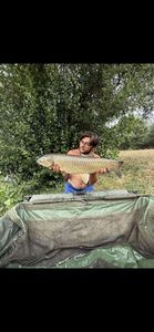 Grass Carp