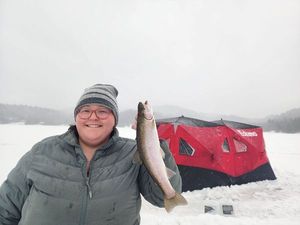 Rainbow Trout