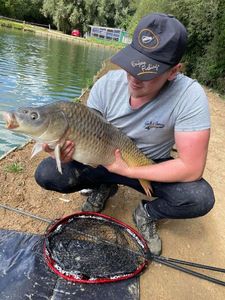 Common Carp