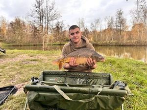 Mirror Carp