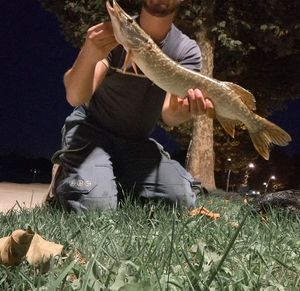 Northern Pike