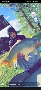 Mirror Carp