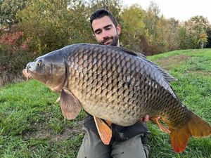 Common Carp