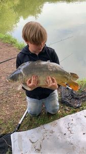 Mirror Carp