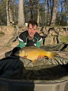 Mirror Carp