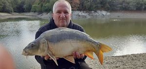 Mirror Carp