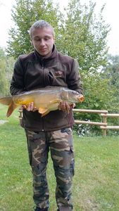 Mirror Carp