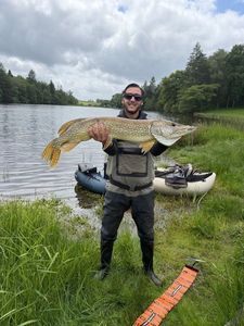 Northern Pike