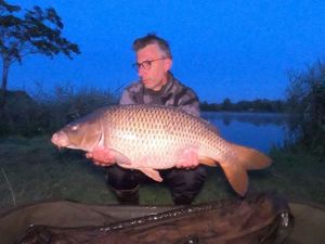 Common Carp