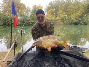 Common Carp